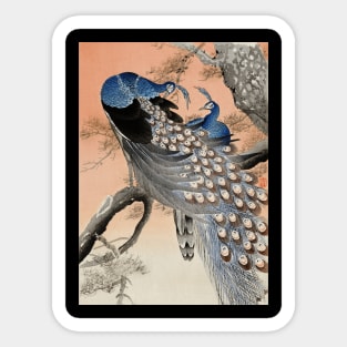 Two peacocks on tree branch by Ohara Koson Ukiyo-e Japanese art Sticker